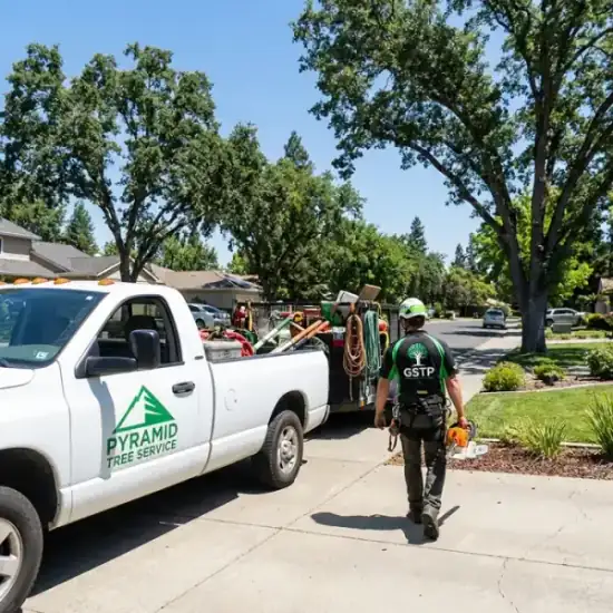George Salinas Tree Service truck arriving at a Roseville residential job