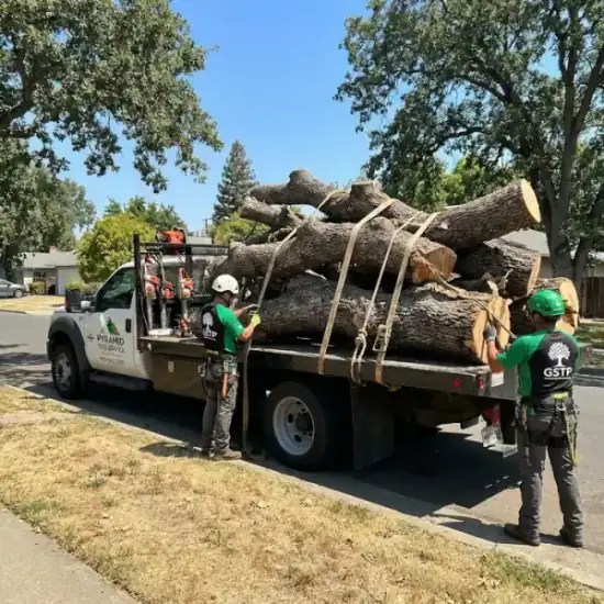 Tree service truck loaded with branches after a Roseville job